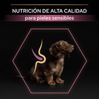 Pro Plan Puppy Small & Mini OptiDerma Salmão ração, , large image number null